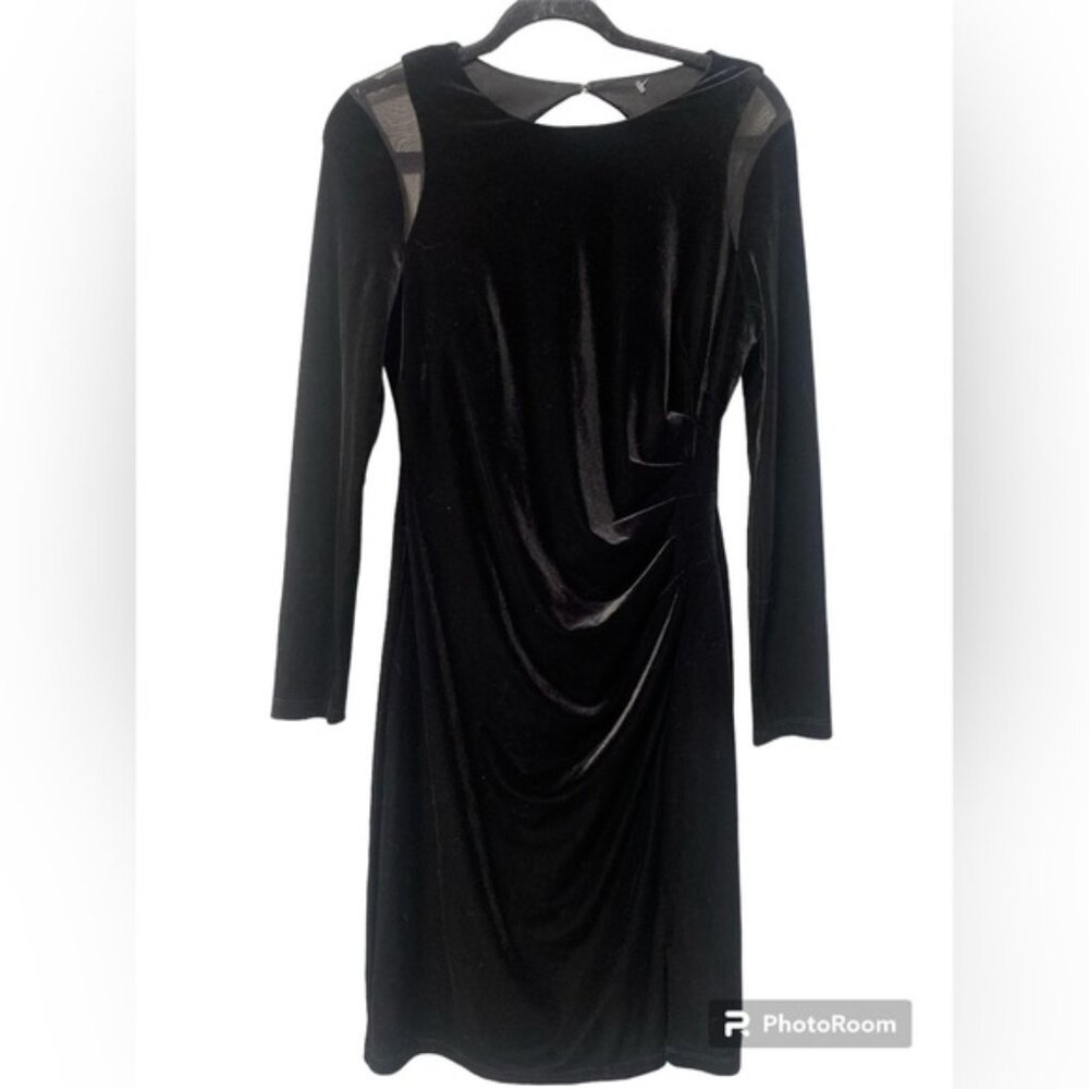 Ralph Lauren Green Label Velvet Sheer Dress  6